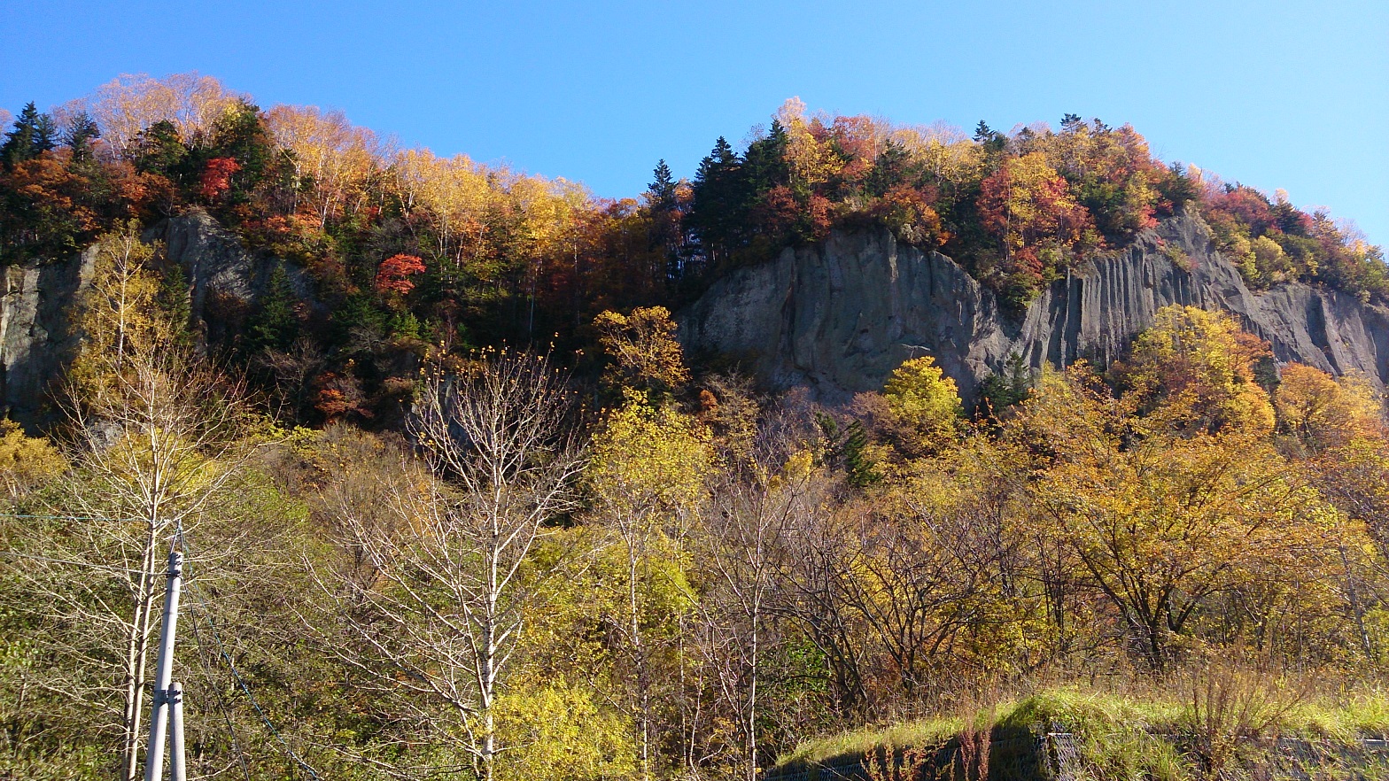 終わりかけの紅葉です(^.^)癒されます